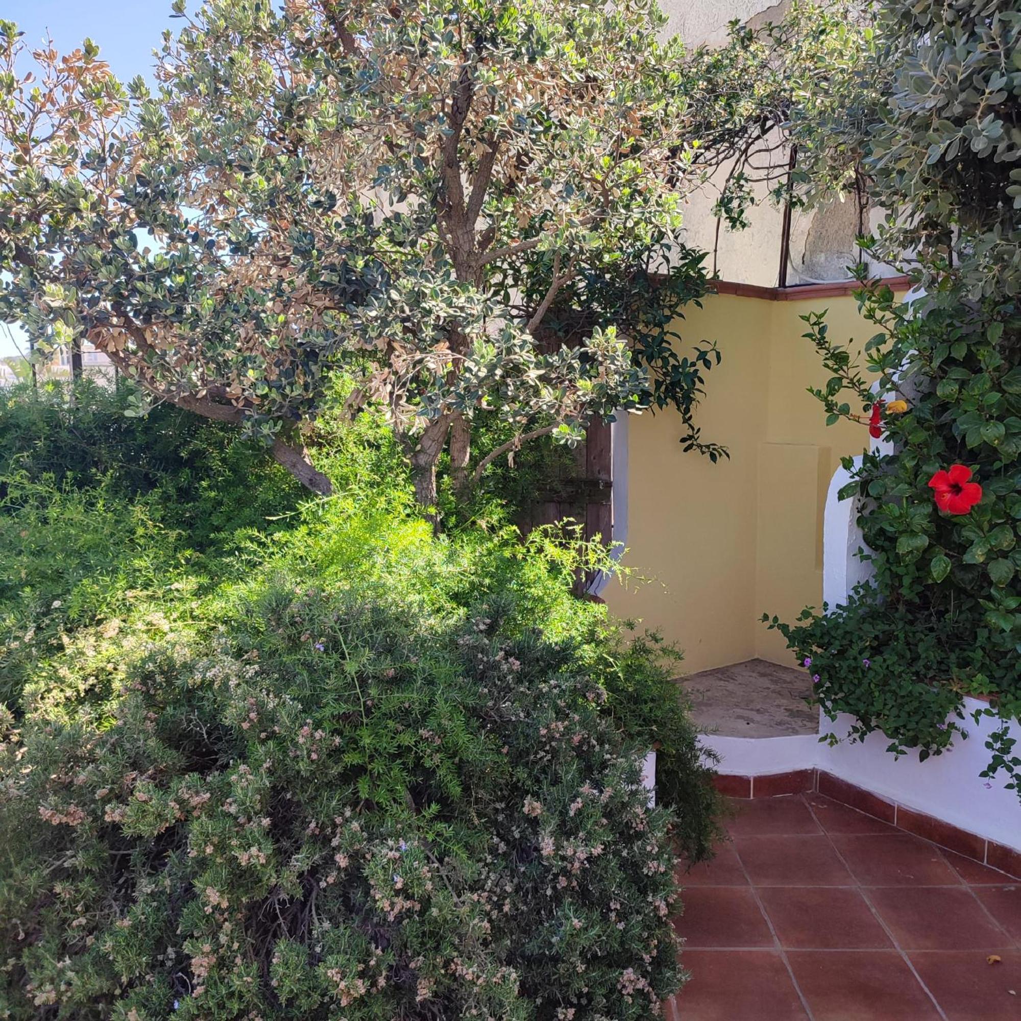 Hotel Villa Verde Forio di Ischia Eksteriør bilde