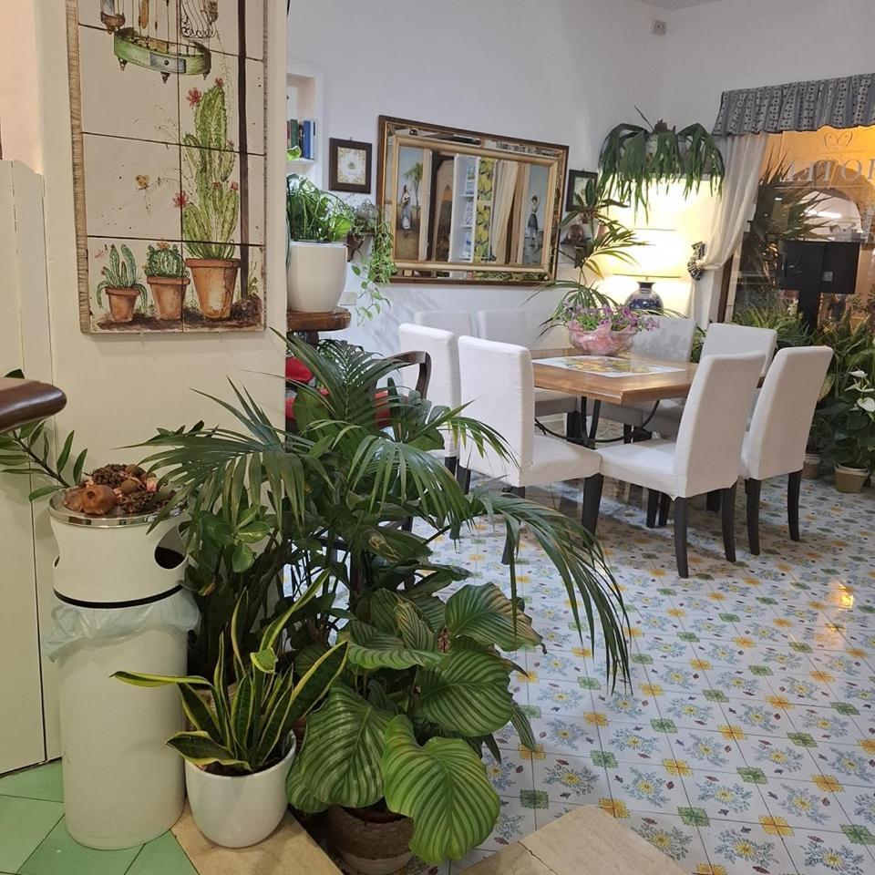 Hotel Villa Verde Forio di Ischia Eksteriør bilde